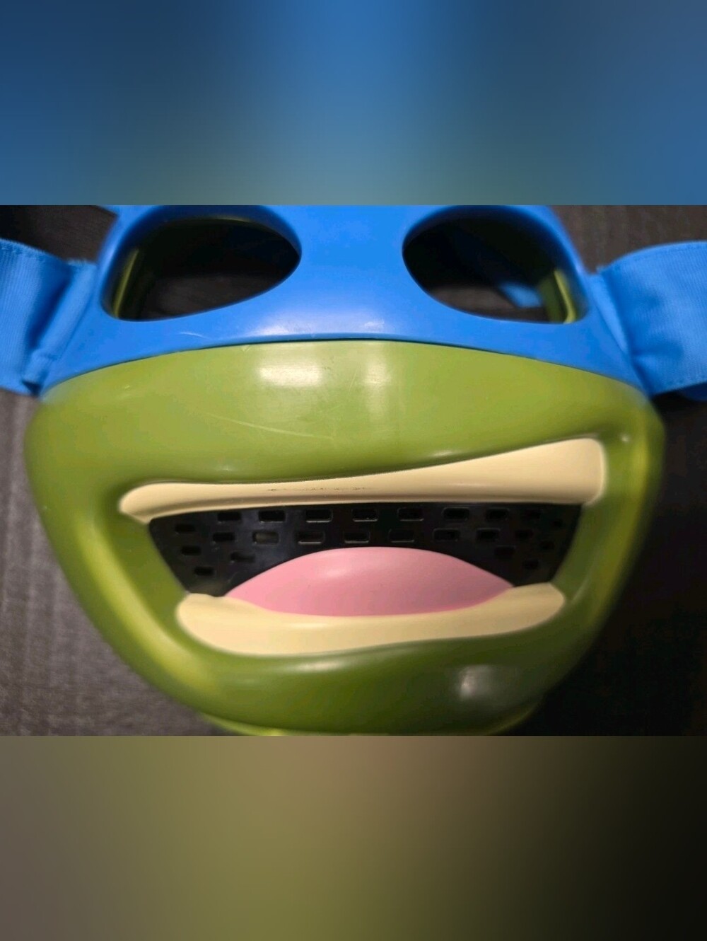 Teenage Mutant Ninja Turtles Leonardo Adjustable Viacom Mask TMNT